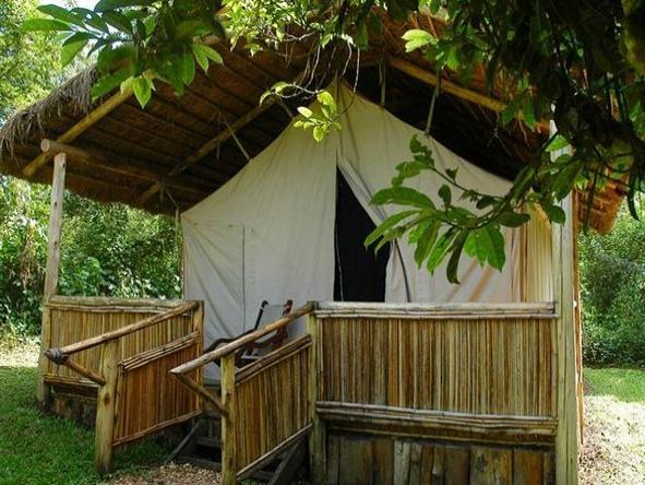 Kibale Forest Camp - suite exterior